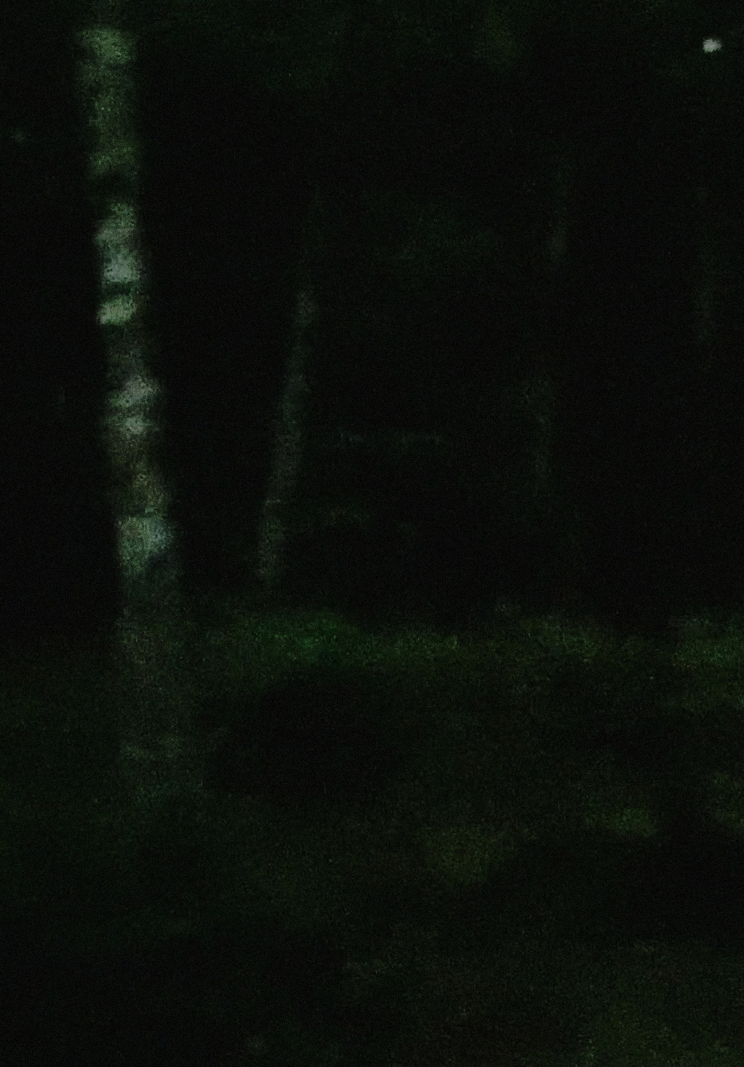 light rain, empty mind (2023) poster