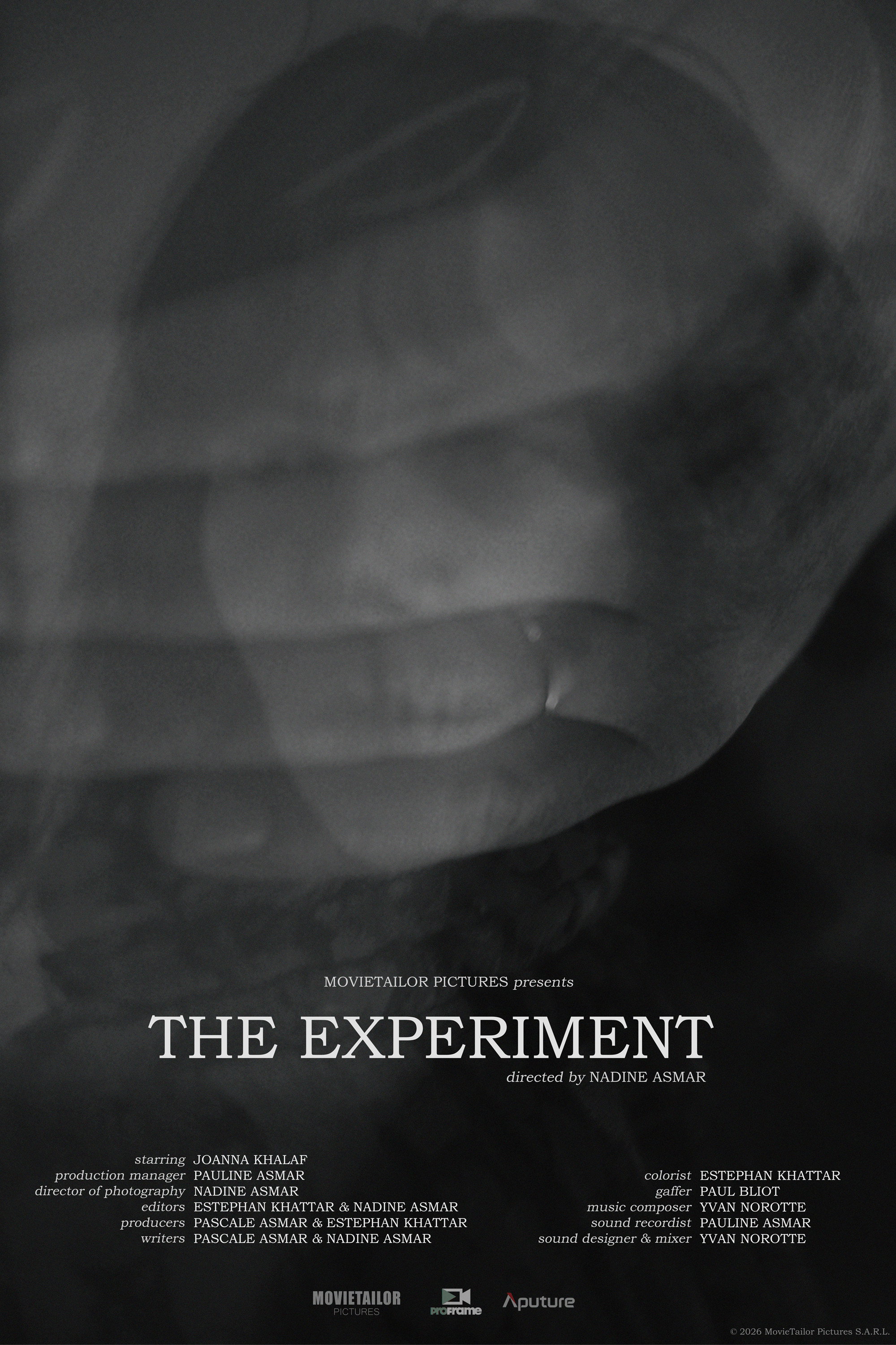 The Experiment (2026) poster