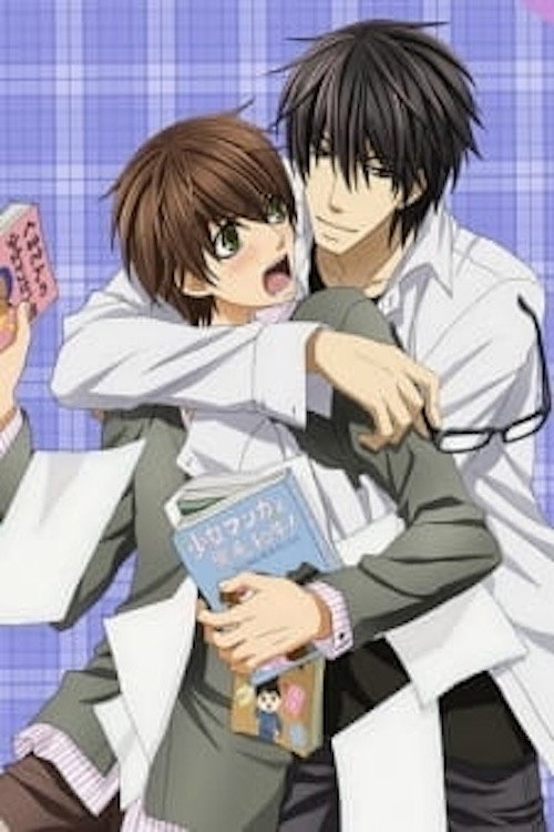 Sekaiichi Hatsukoi: Valentine-hen (2014) poster