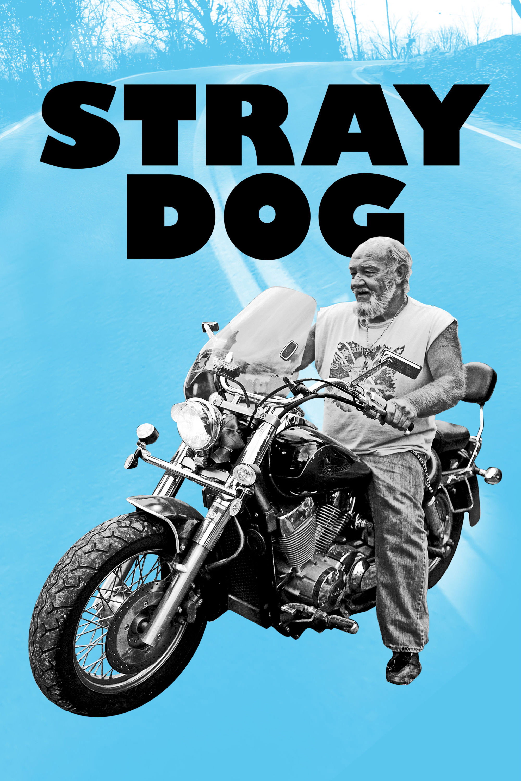 Stray Dog (2014) poster