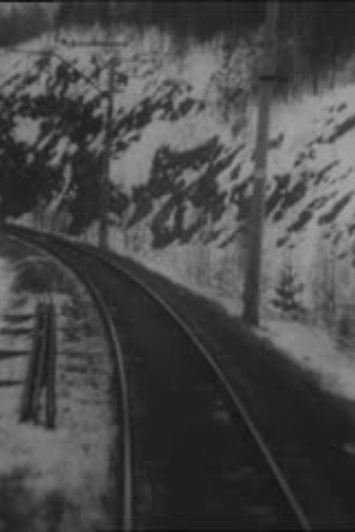 Arrival of the Train (1995) poster
