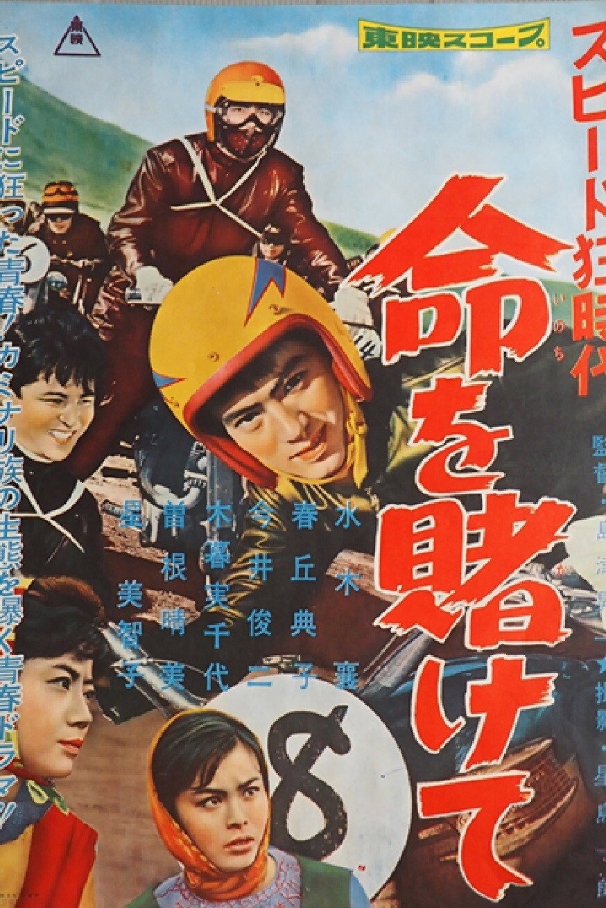 Speed Crazy (1959) poster