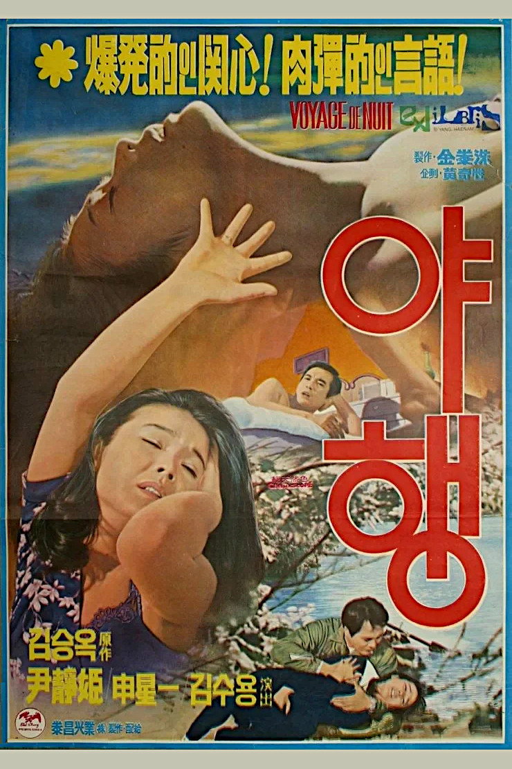 Night Journey (1977) poster