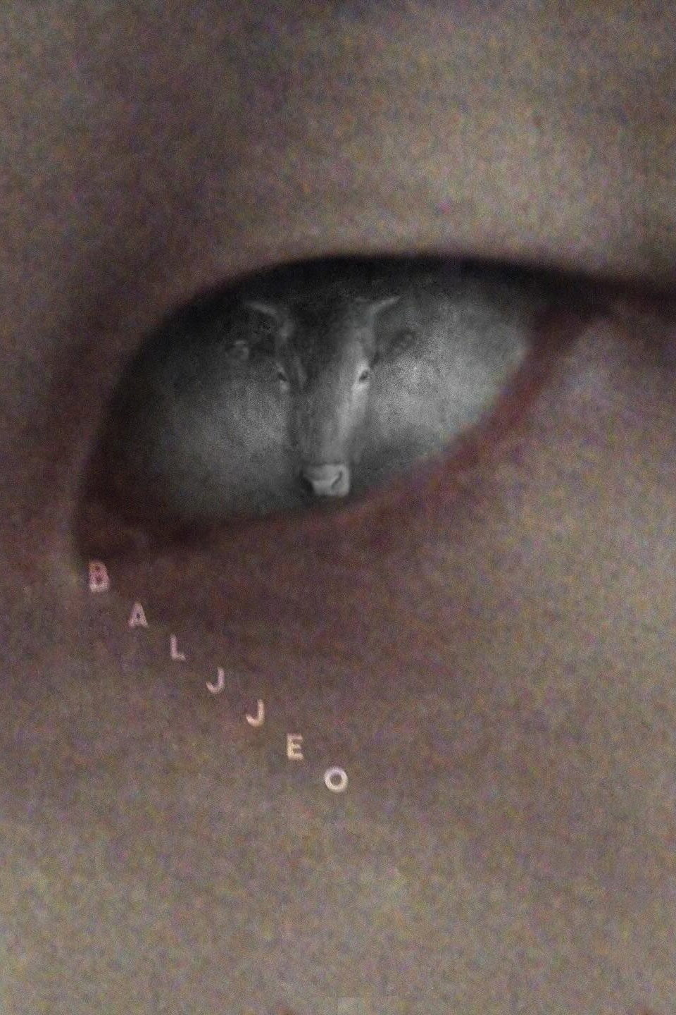 Baljjeo (2025) poster