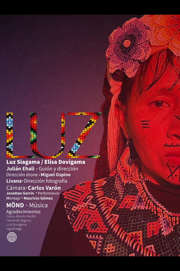 Luz (2023) poster