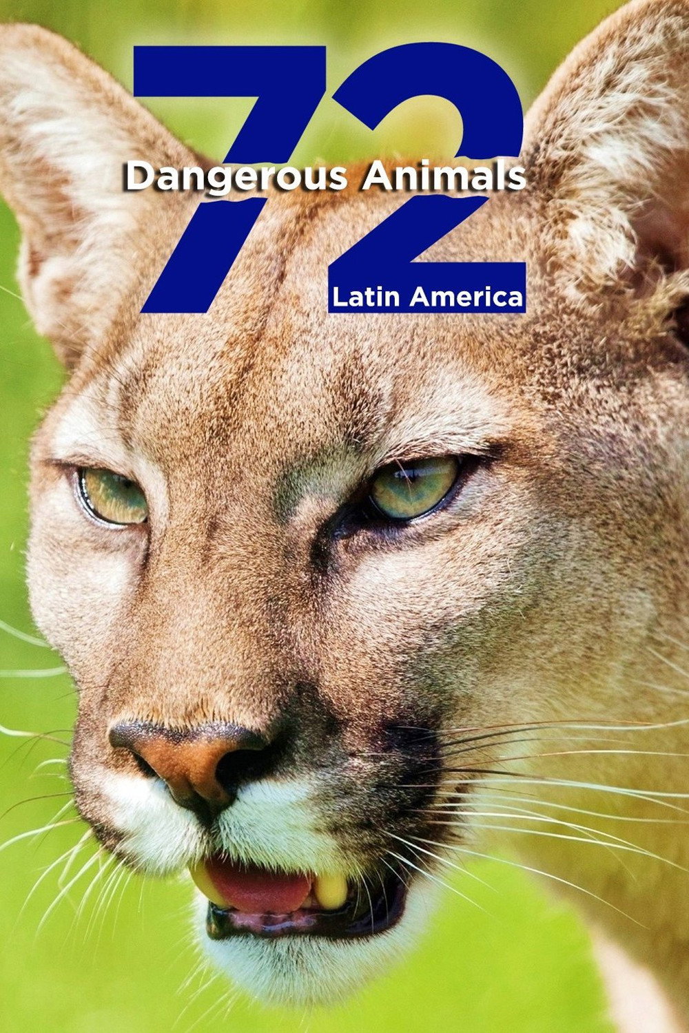 72 Dangerous Animals: Latin America (2017) poster