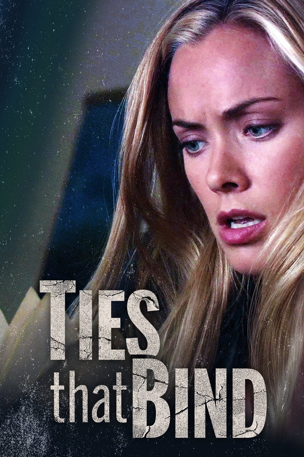 Ties That Bind (2010) poster