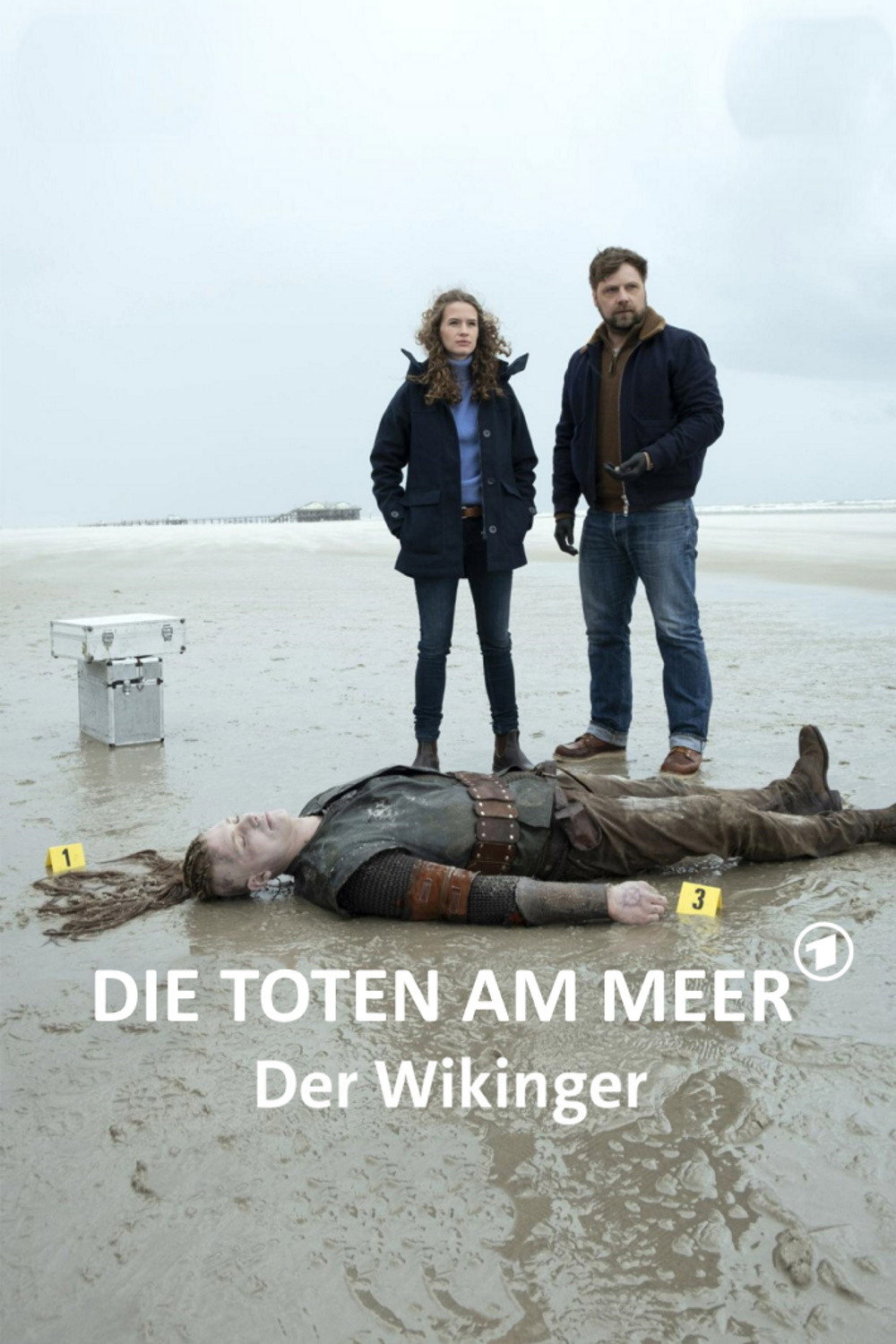 Die Toten am Meer - Der Wikinger (2022) poster