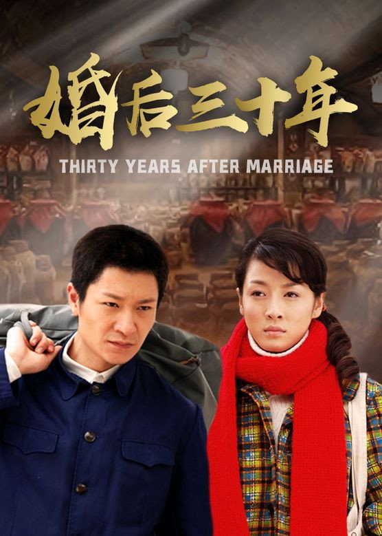 婚后三十年 (2009) poster