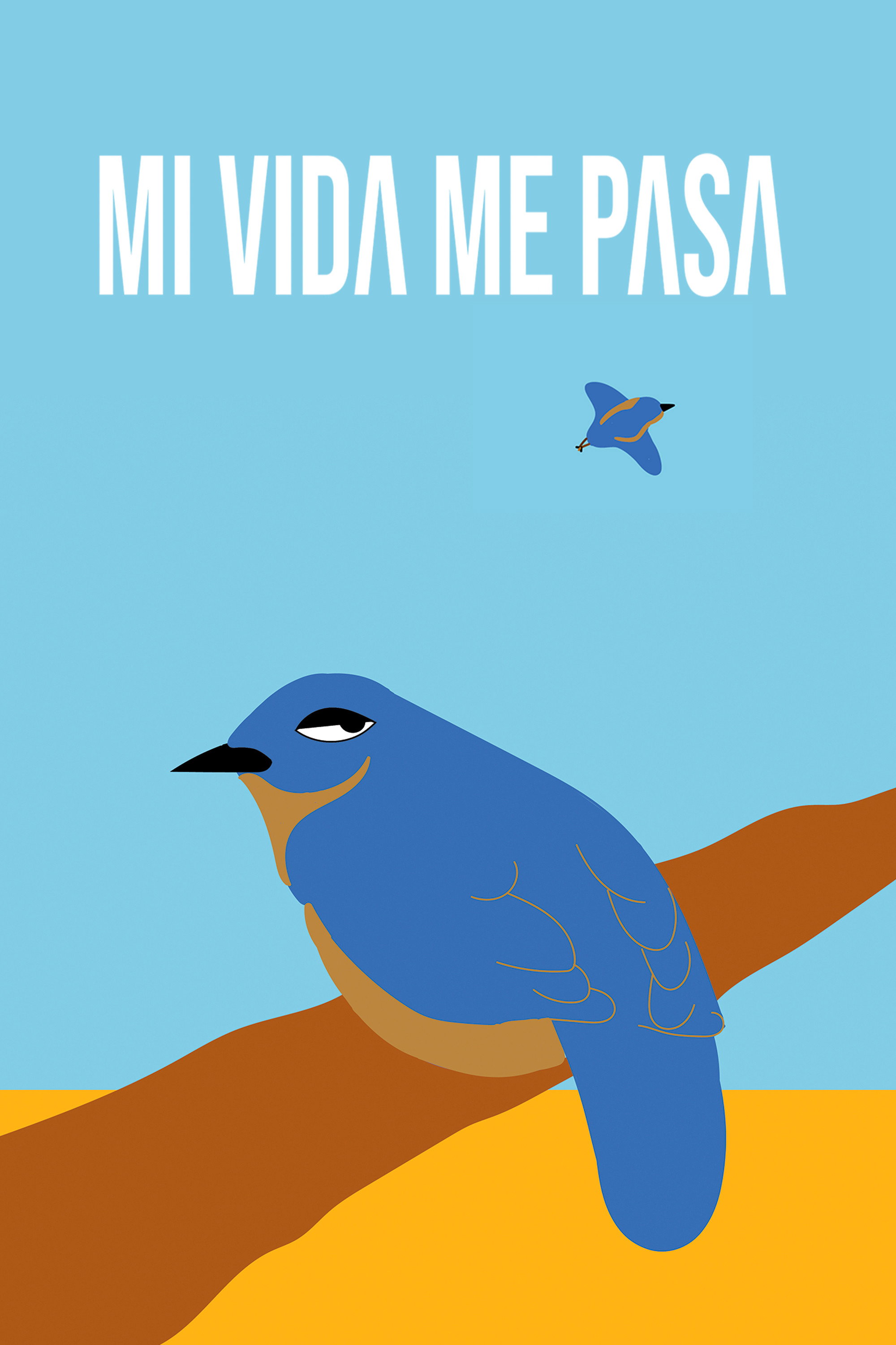 Mi Vida Me Pasa (2024) poster