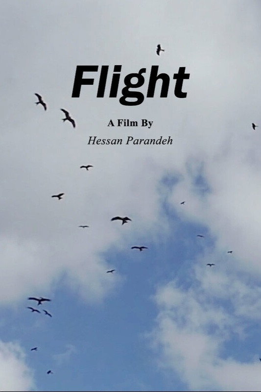 Flight (2023) poster