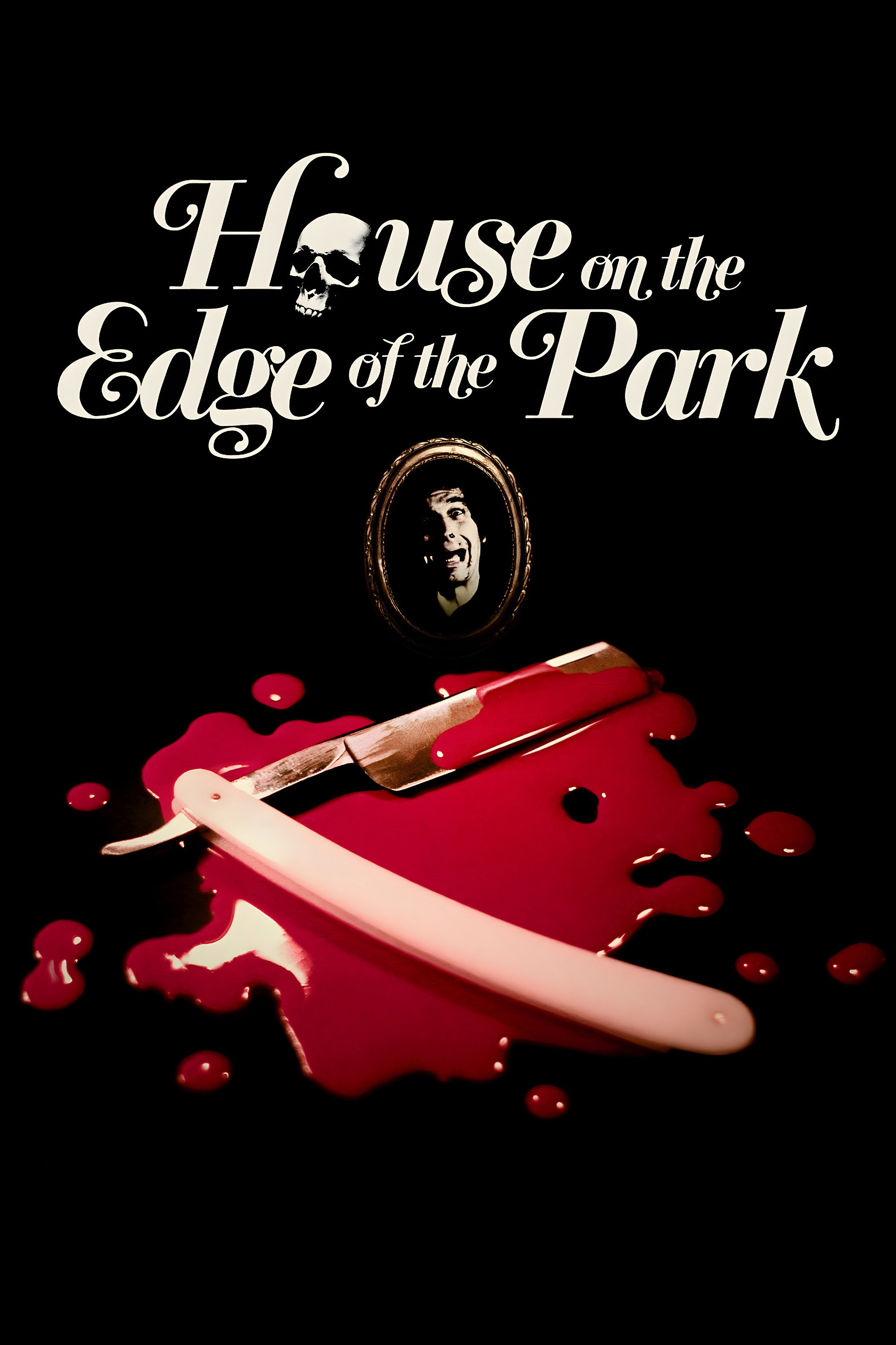 House on the Edge of the Park (1980) poster