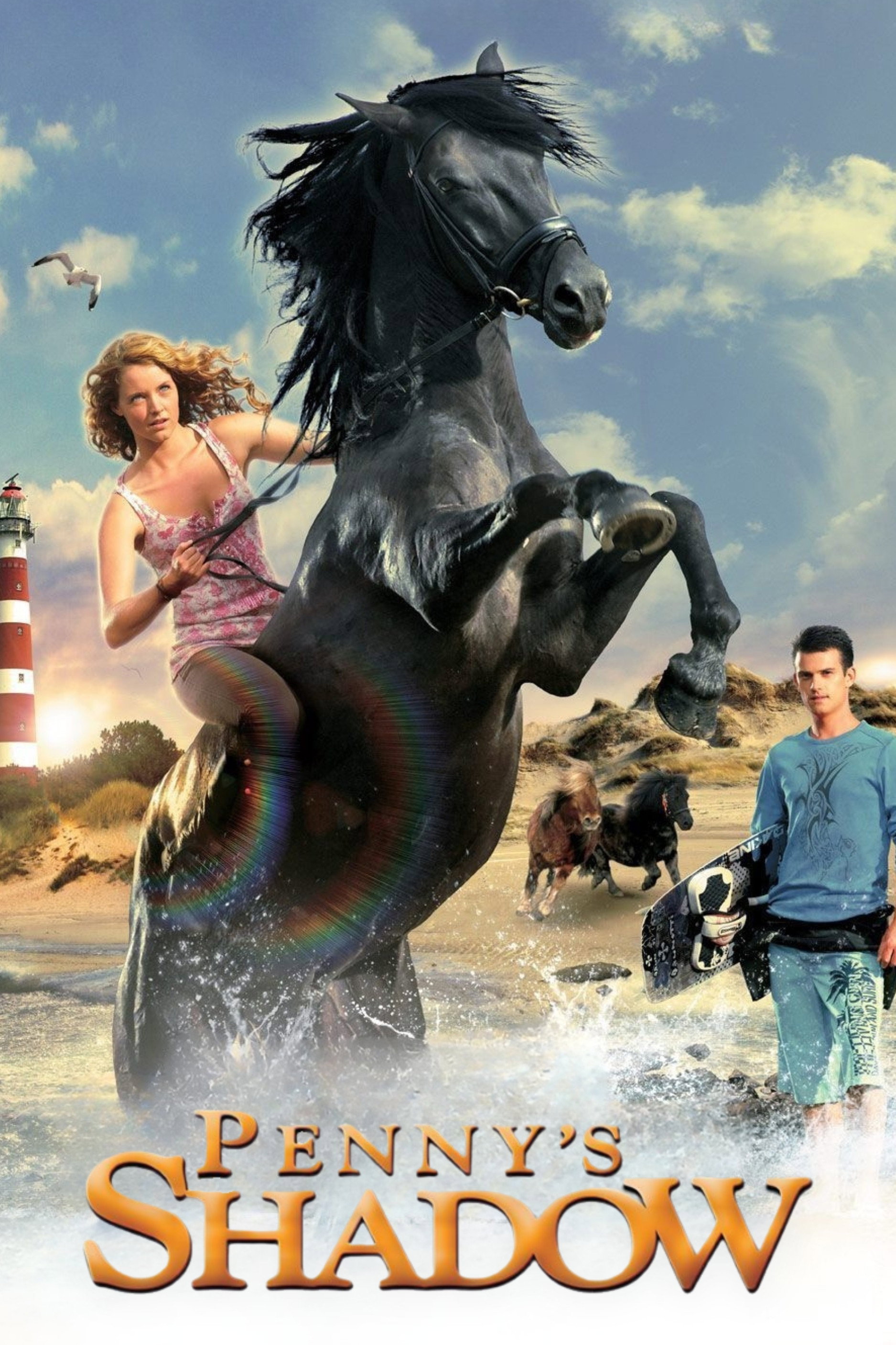 Penny's Shadow (2011) poster