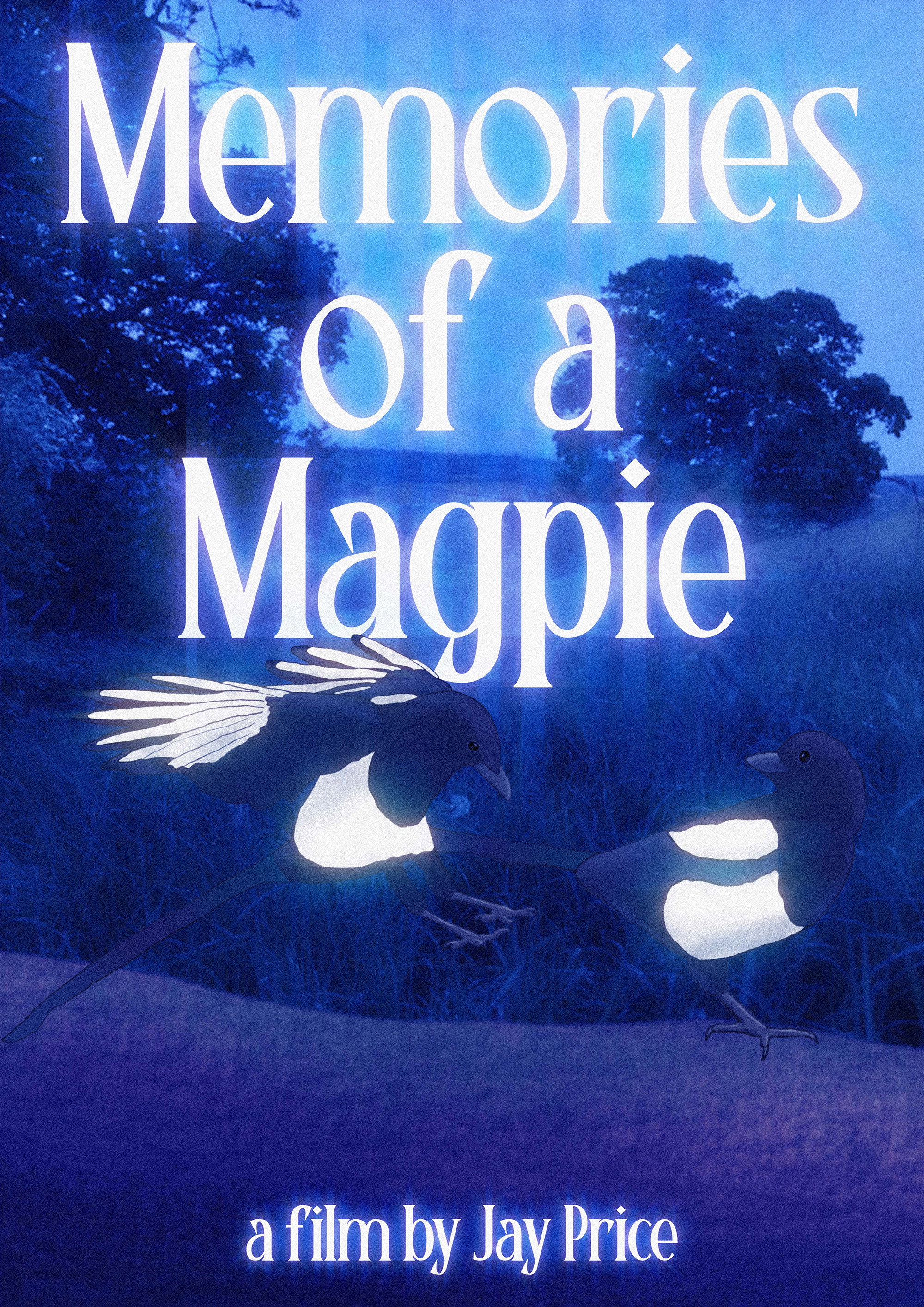 Memories of a Magpie (2025) poster