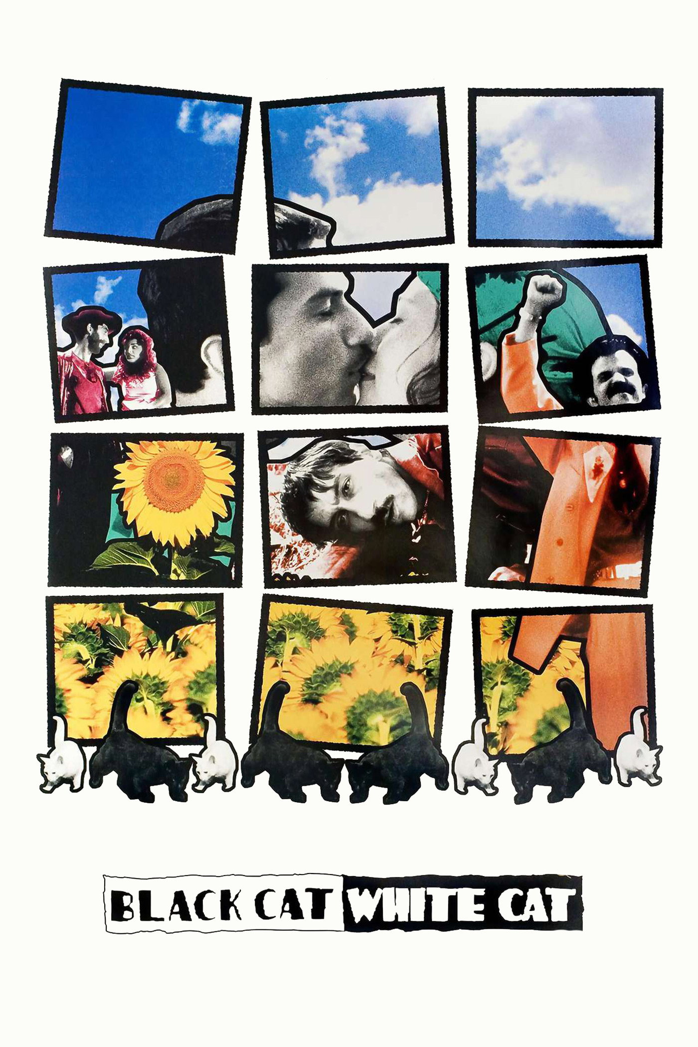 Black Cat, White Cat (1998) poster