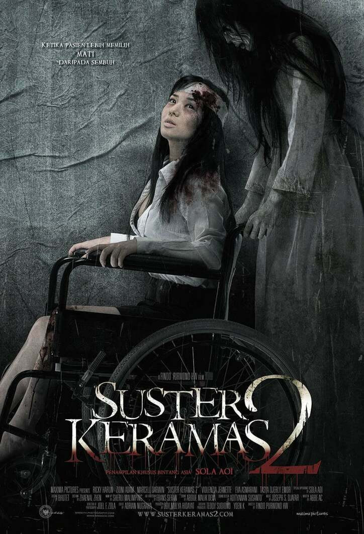 Evil Nurse 2 (2011) poster