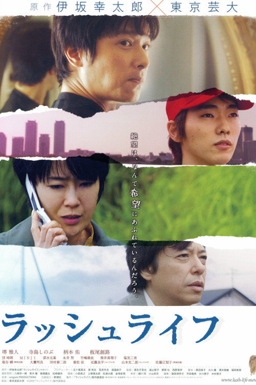 A Lush Life (2009) poster