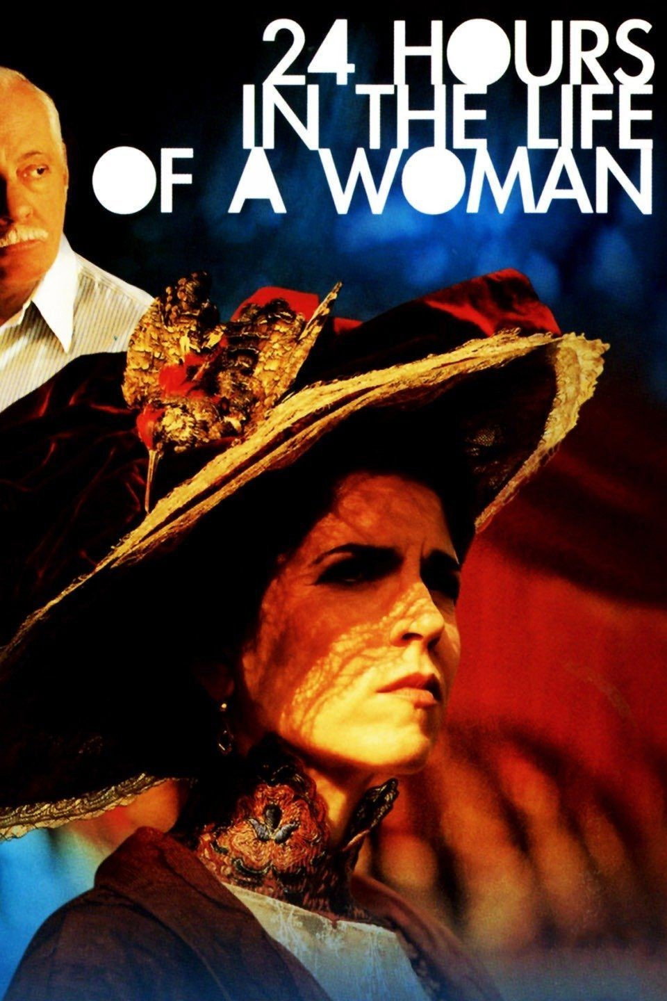 24 Hours in the Life of a Woman (2002) poster
