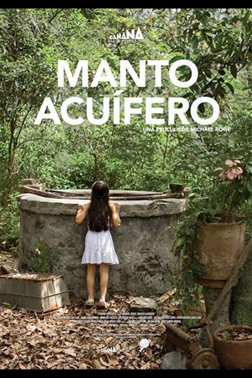 The Well (2013) poster