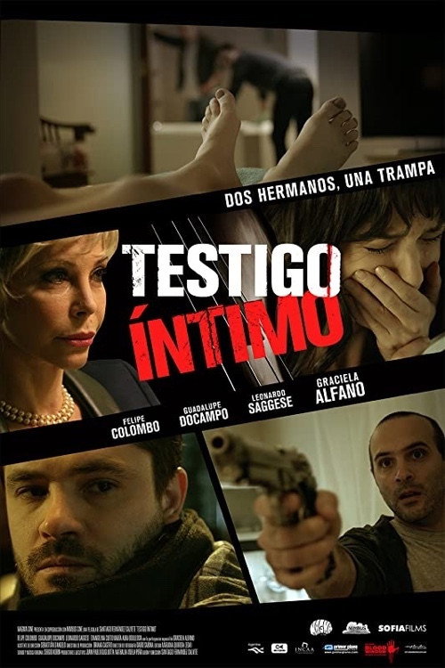 Intimate Witness (2015) poster
