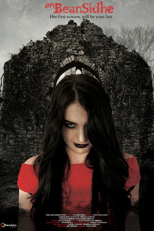 An Bean Sidhe (2014) poster