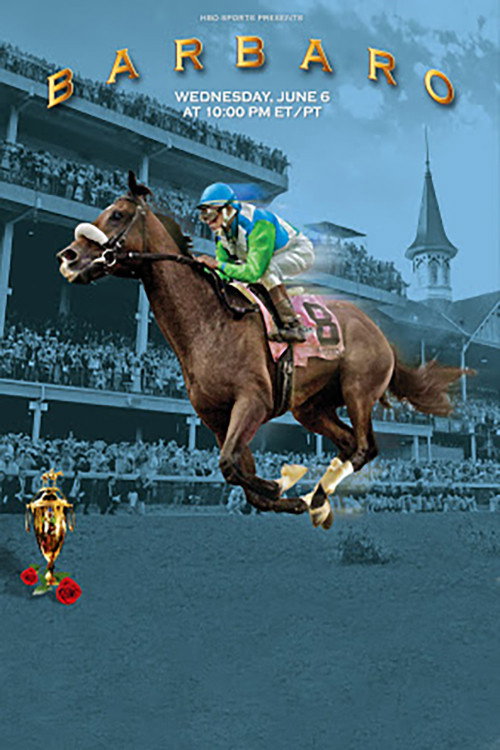 Barbaro (2008) poster