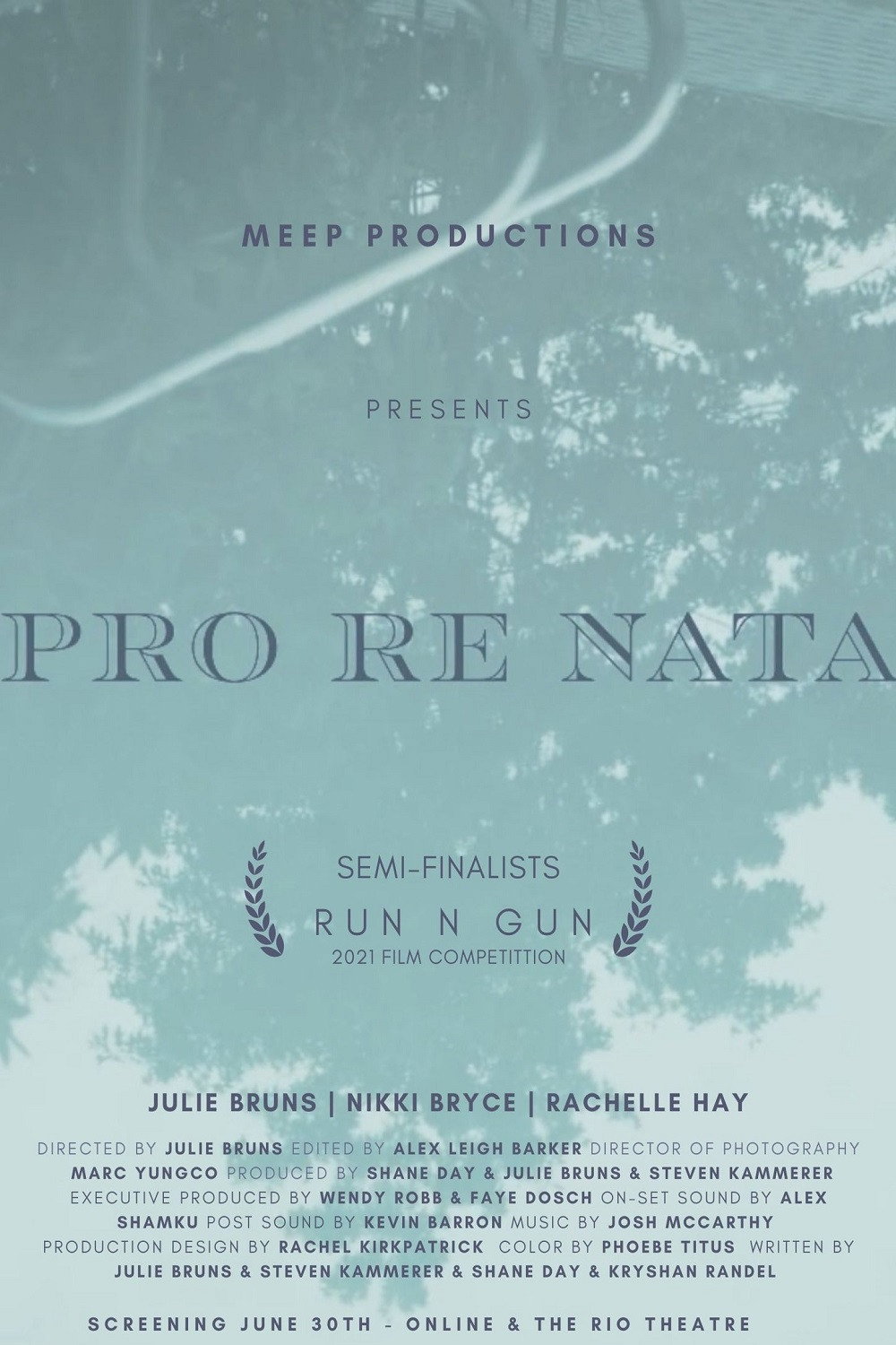 Pro Re Nata (2026) poster