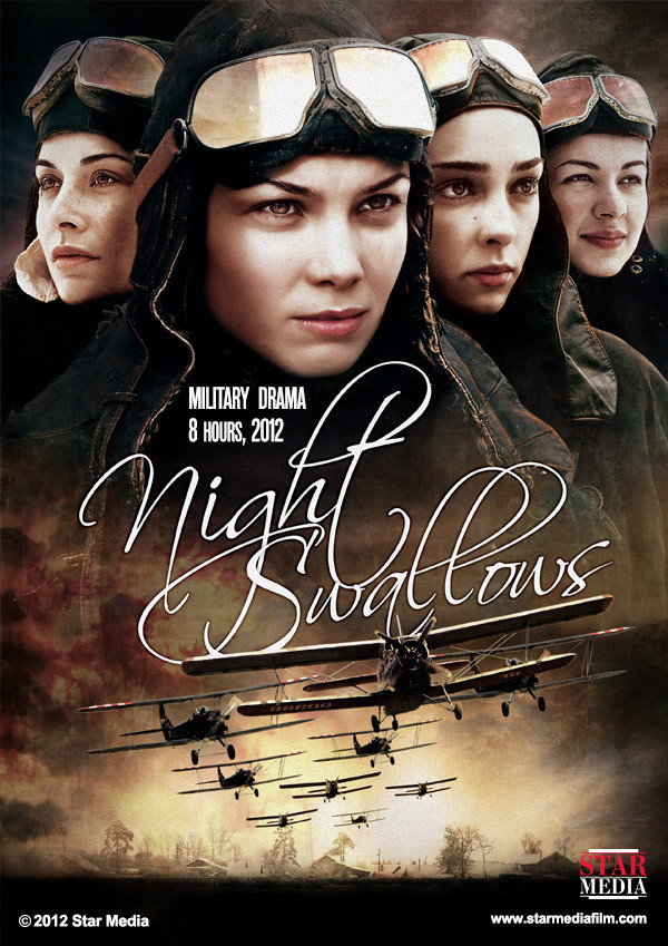 Night Swallows (2013) poster