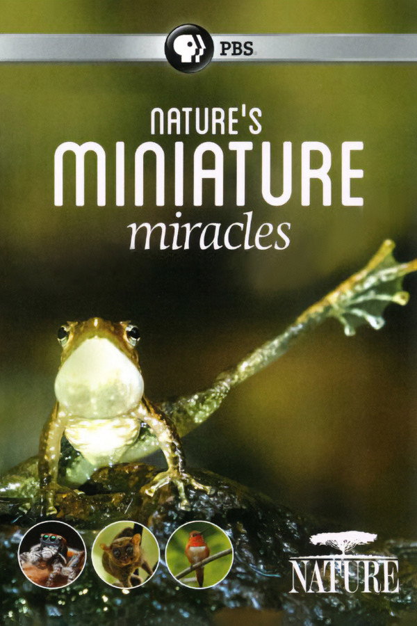 Nature's Miniature Miracles (2017) poster