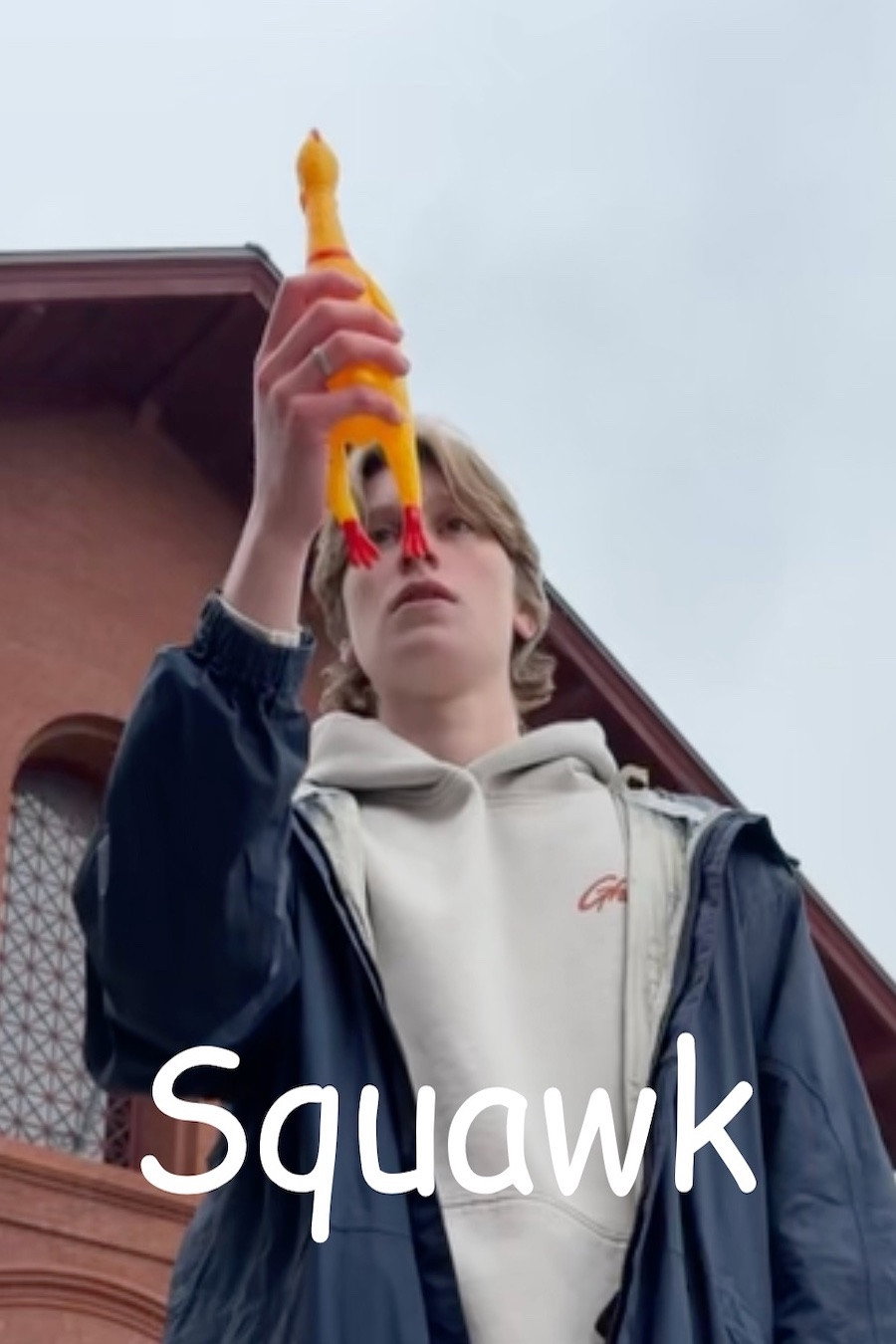Squawk (2026) poster