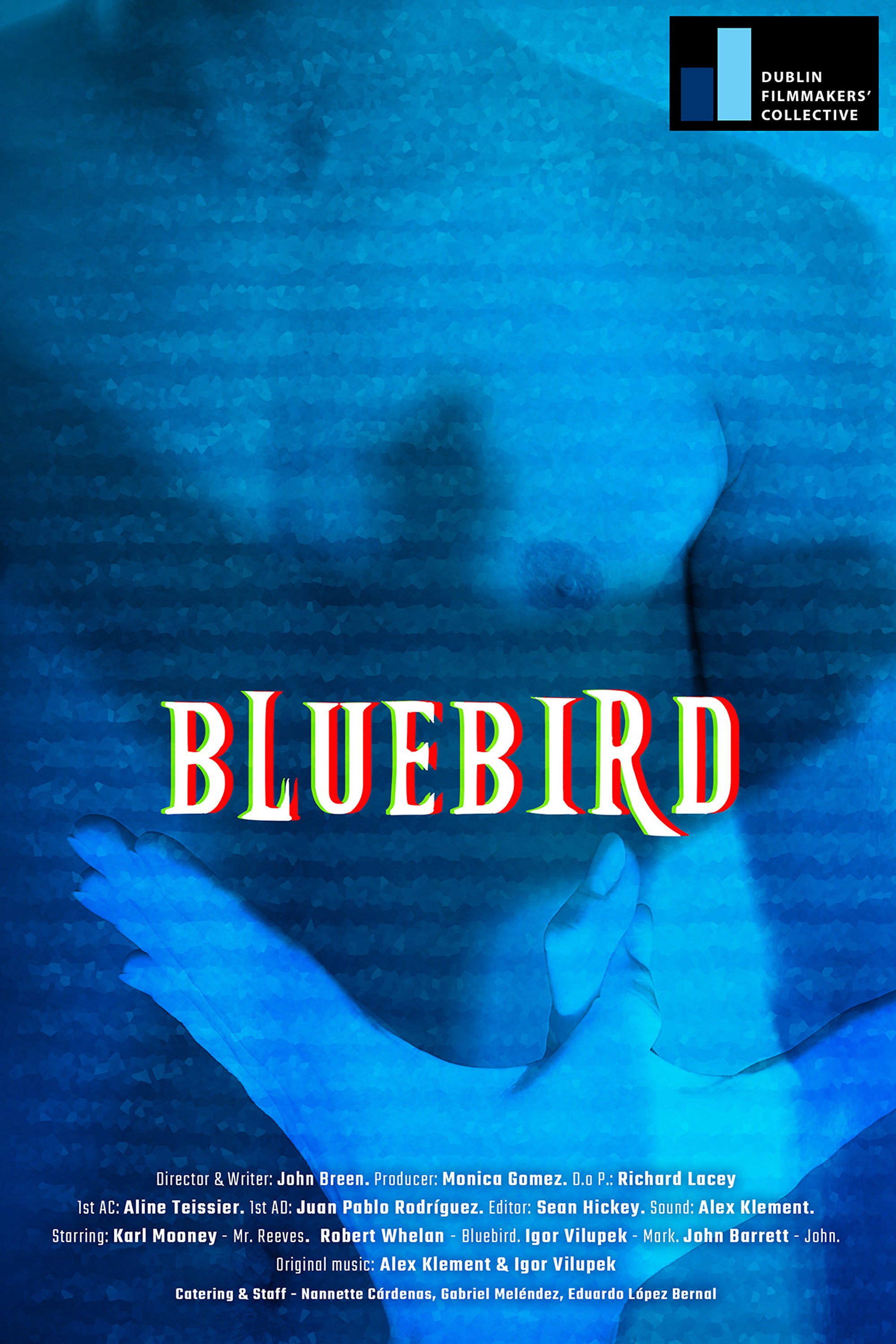 Bluebird (2019) poster