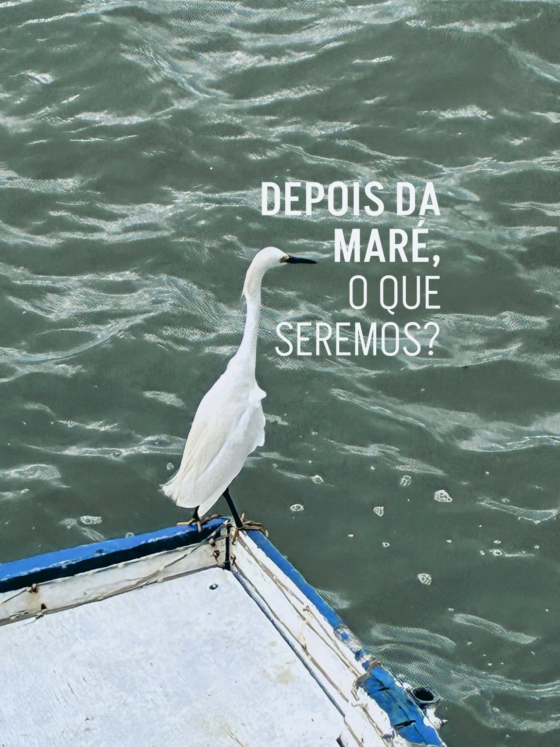 Depois da maré, o que seremos? (2026) poster