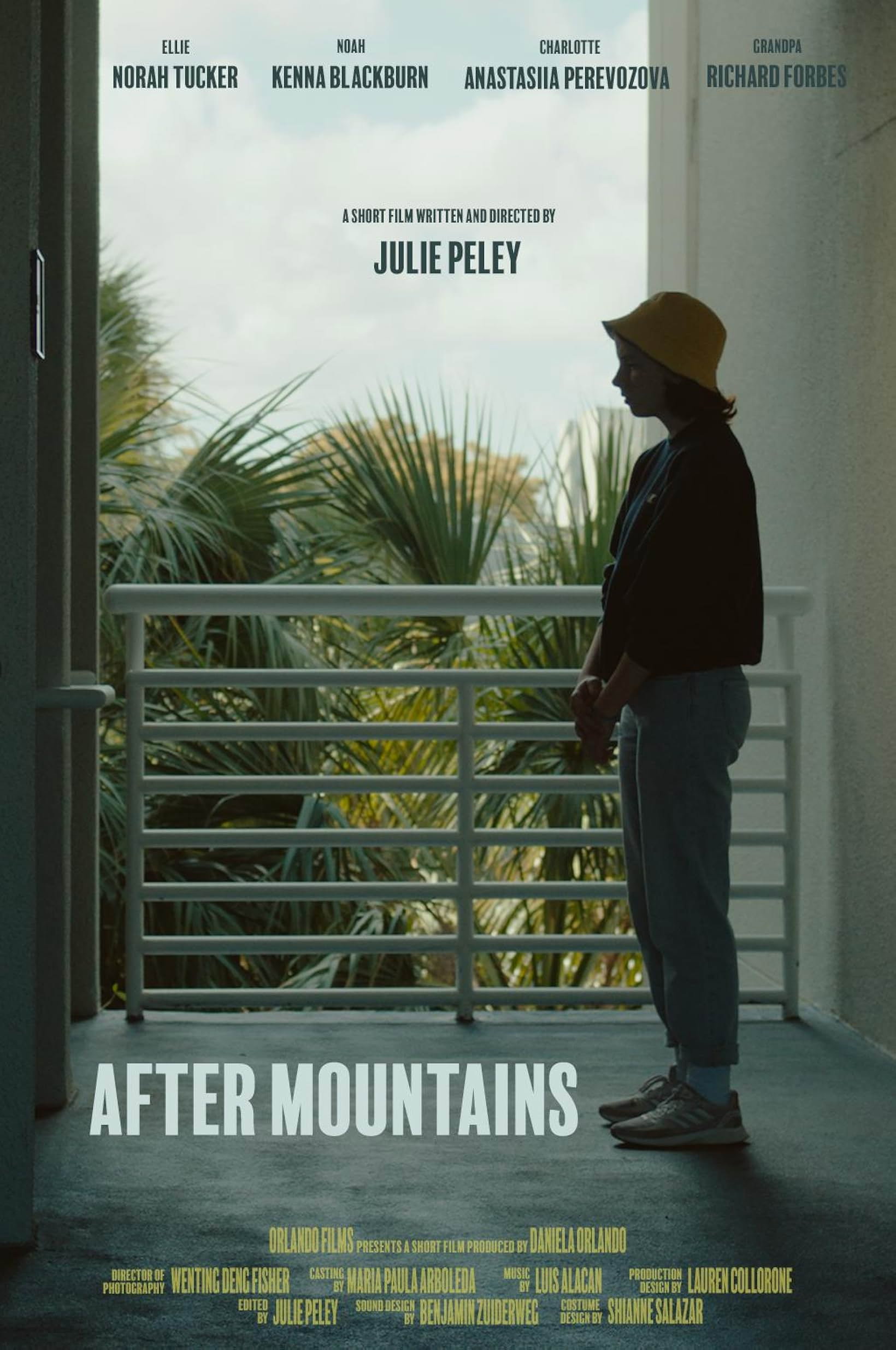 After Mountains (2024) poster