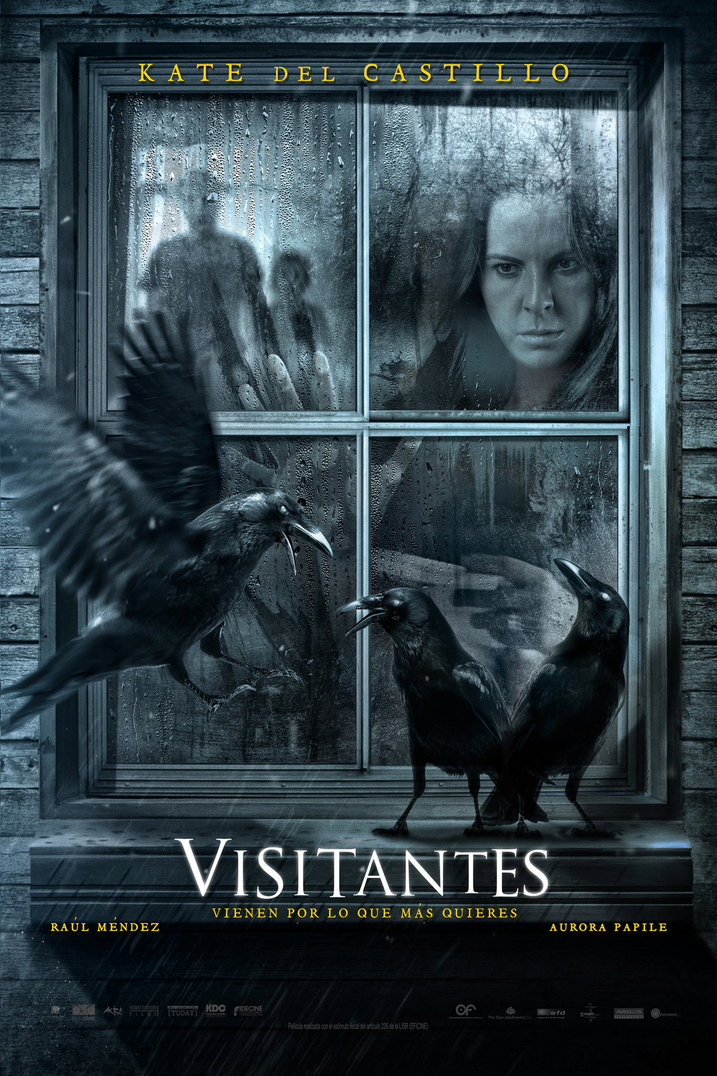Visitors (2014) poster
