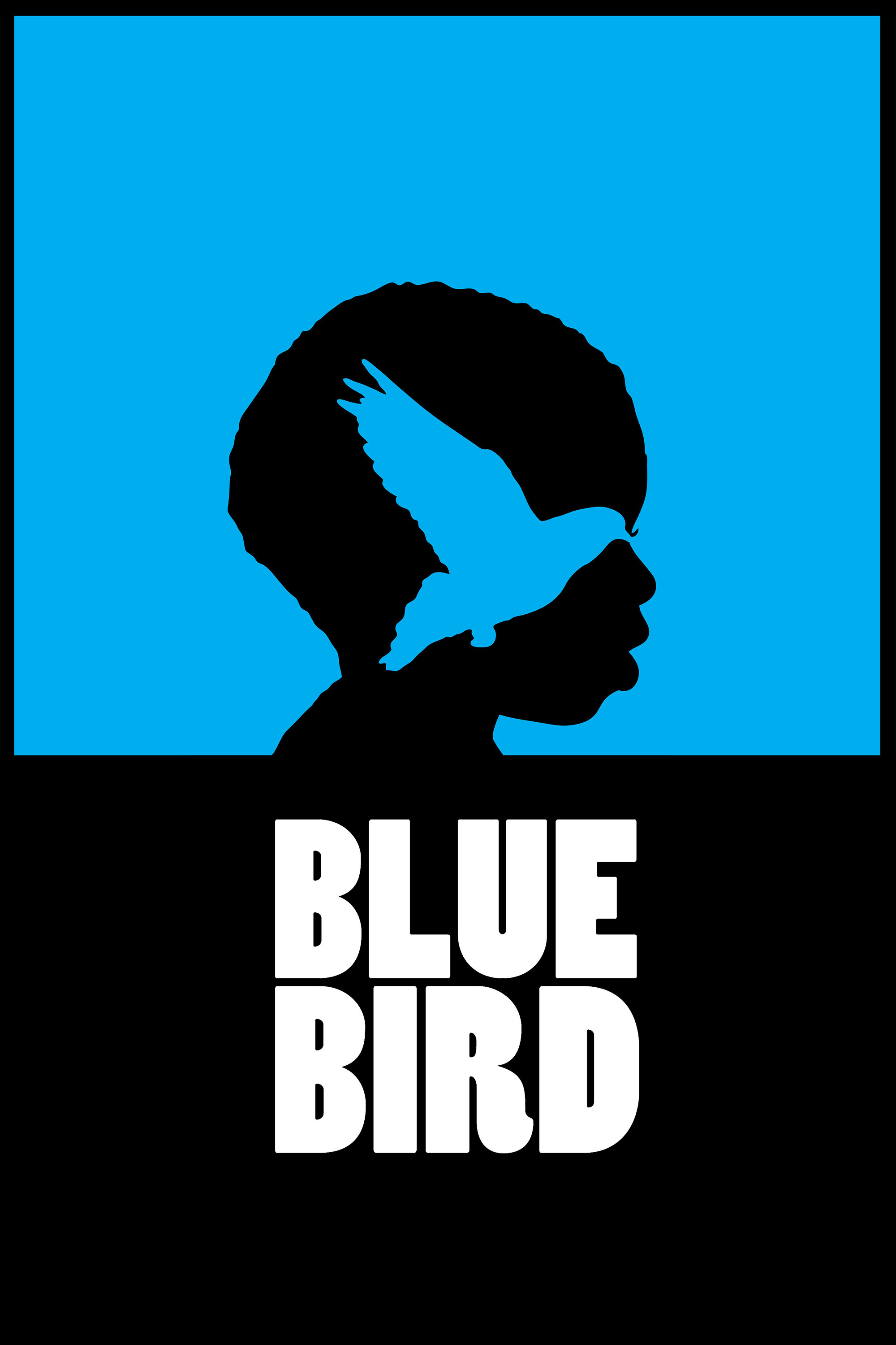 Blue Bird (2011) poster