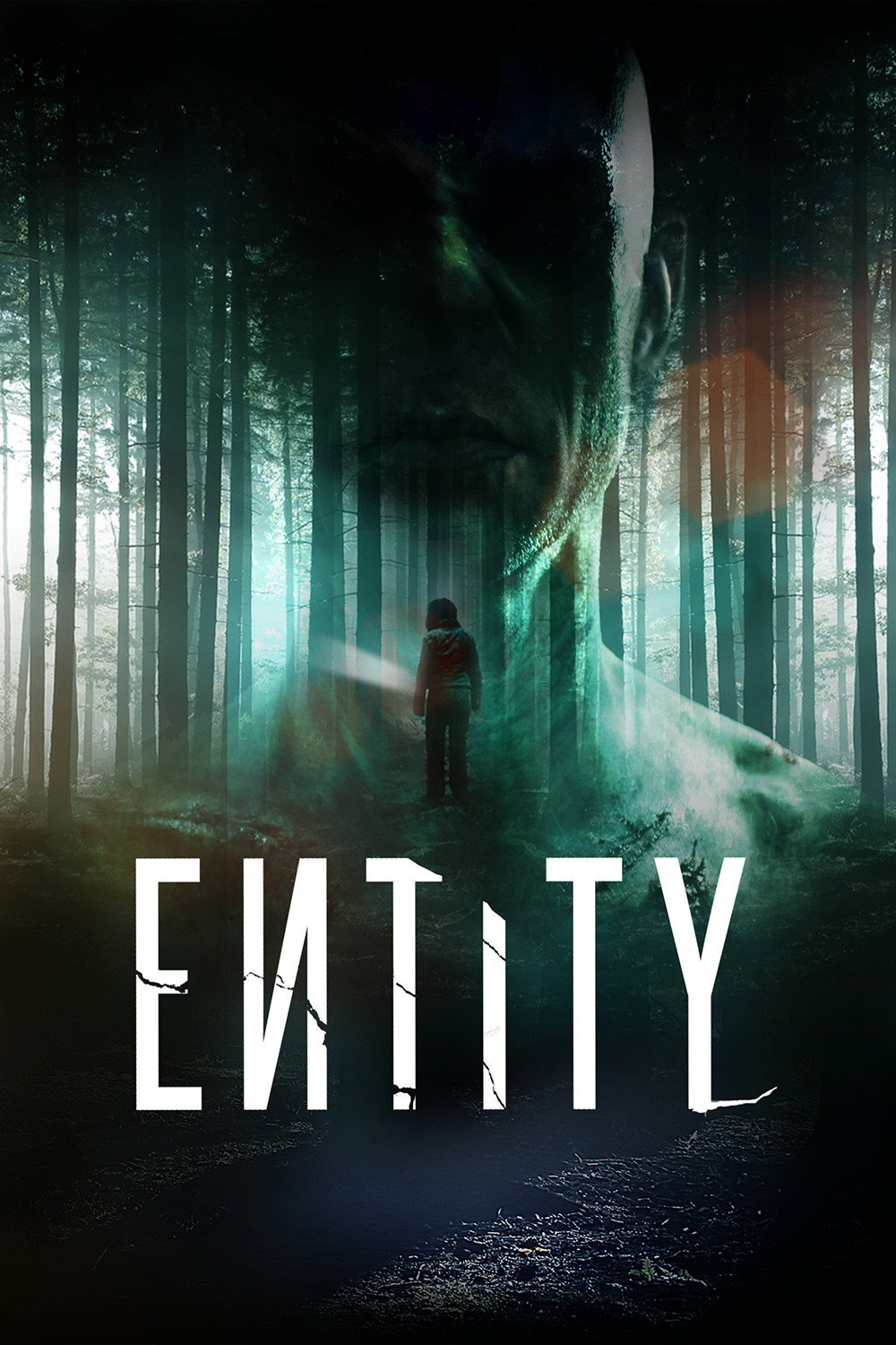 Entity (2012) poster