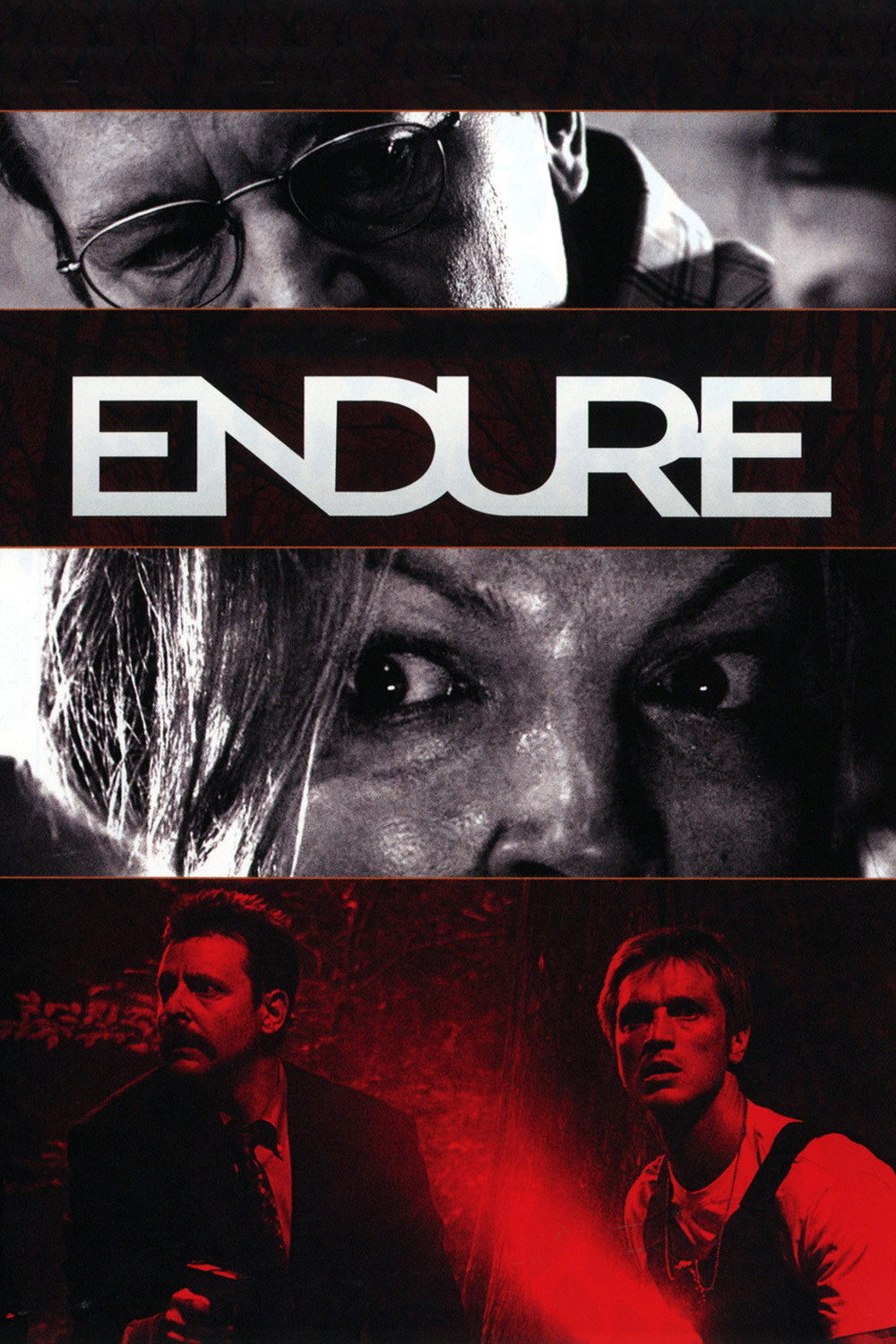 Endure (2010) poster