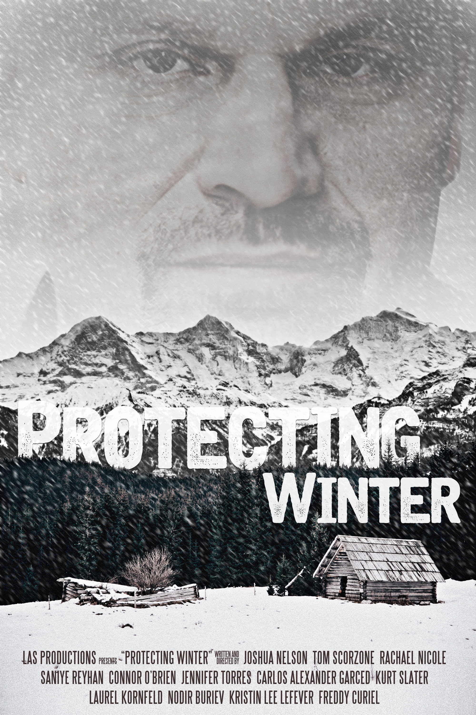 Protecting Winter (2019) poster