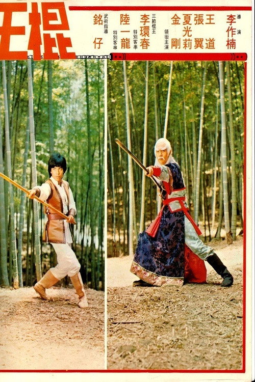 Shaolin Invincible Sticks (1978) poster