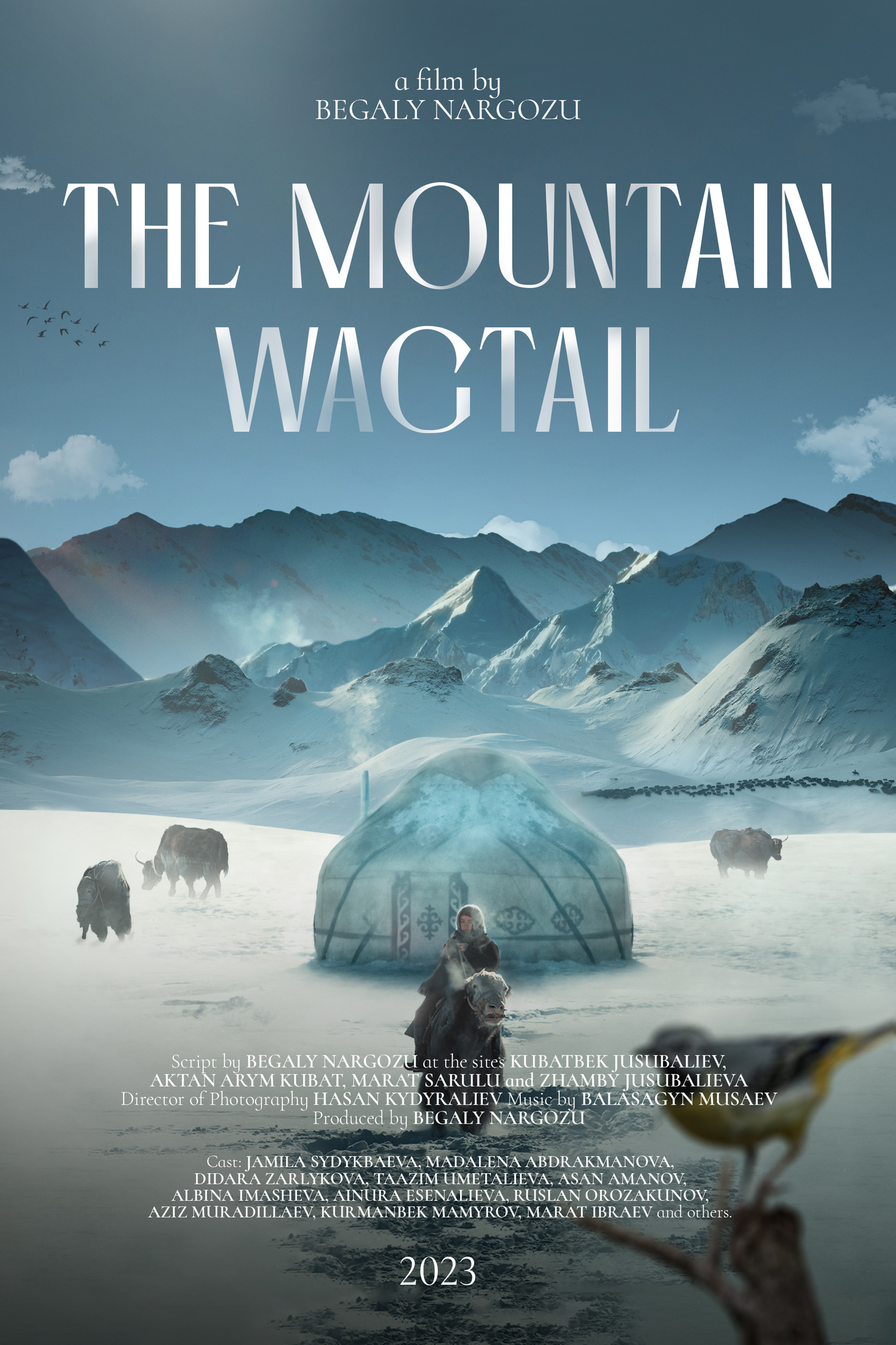 The Mountain Wagtail (2023) poster