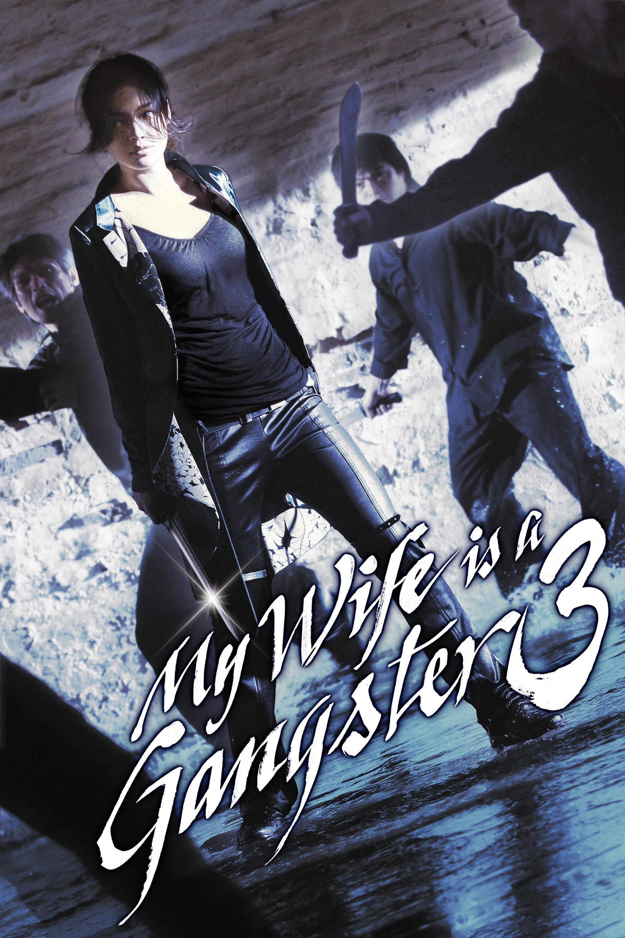 My Wife Is a Gangster 3 (2006) poster