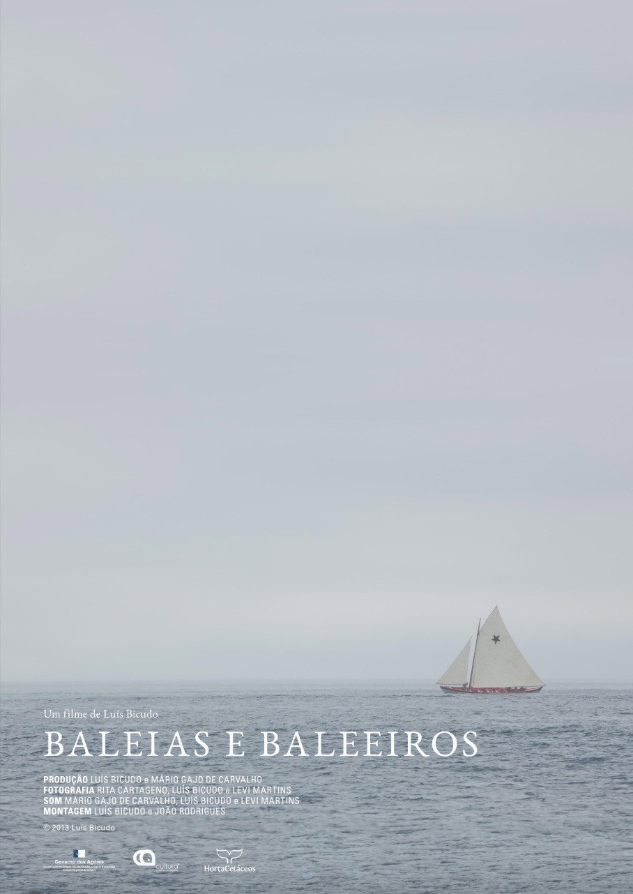 Baleias e baleeiros - Para que a Memória Permaneça na Gente (2013) poster