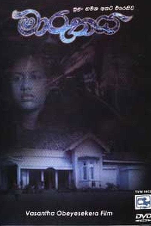 The Storm (1995) poster