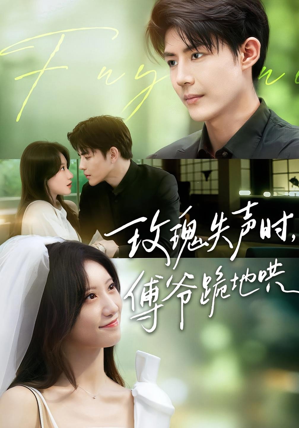 玫瑰失聲時，傅爺跪地哄 (2025) poster
