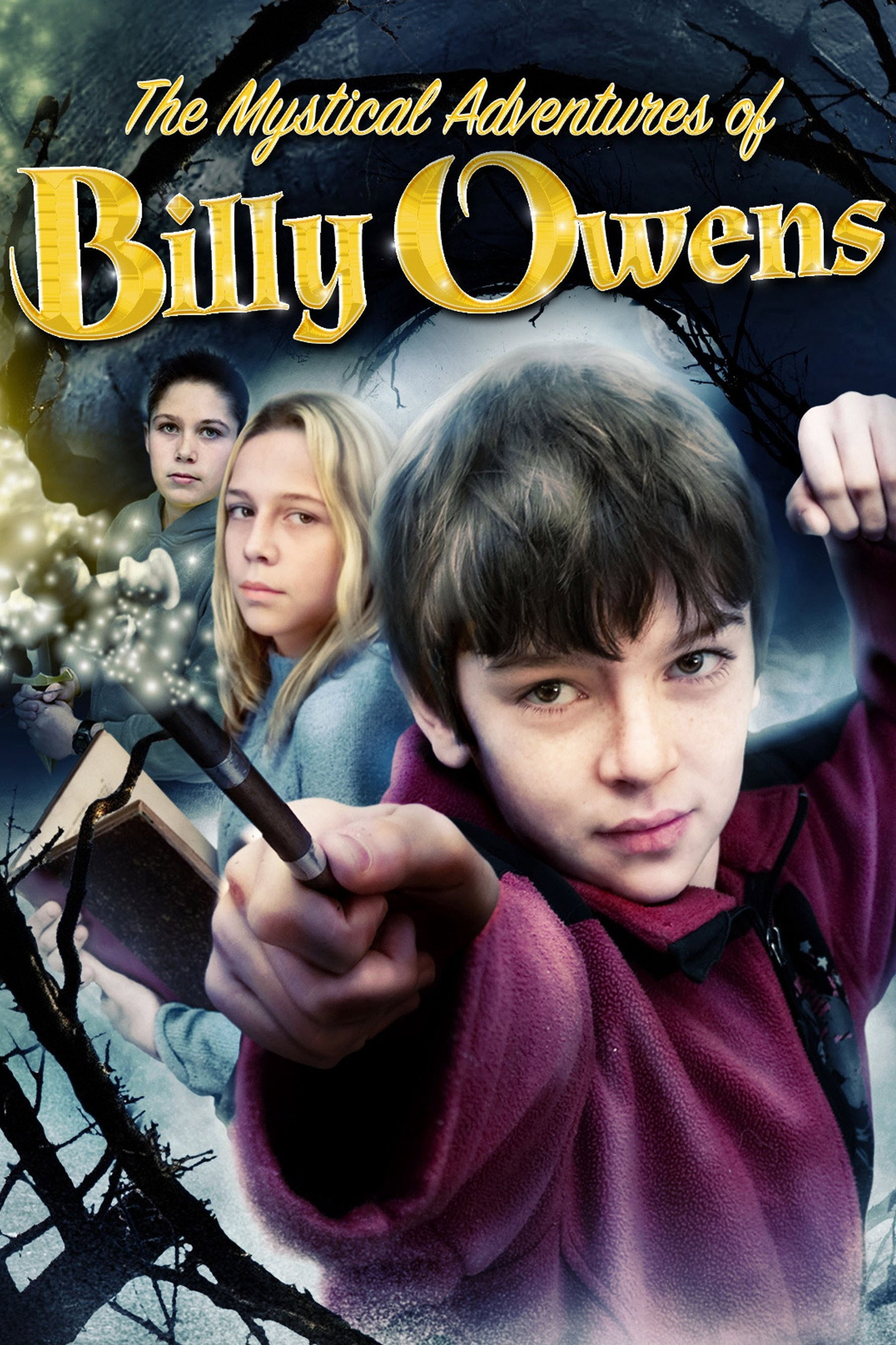 The Mystical Adventures of Billy Owens (2008) poster