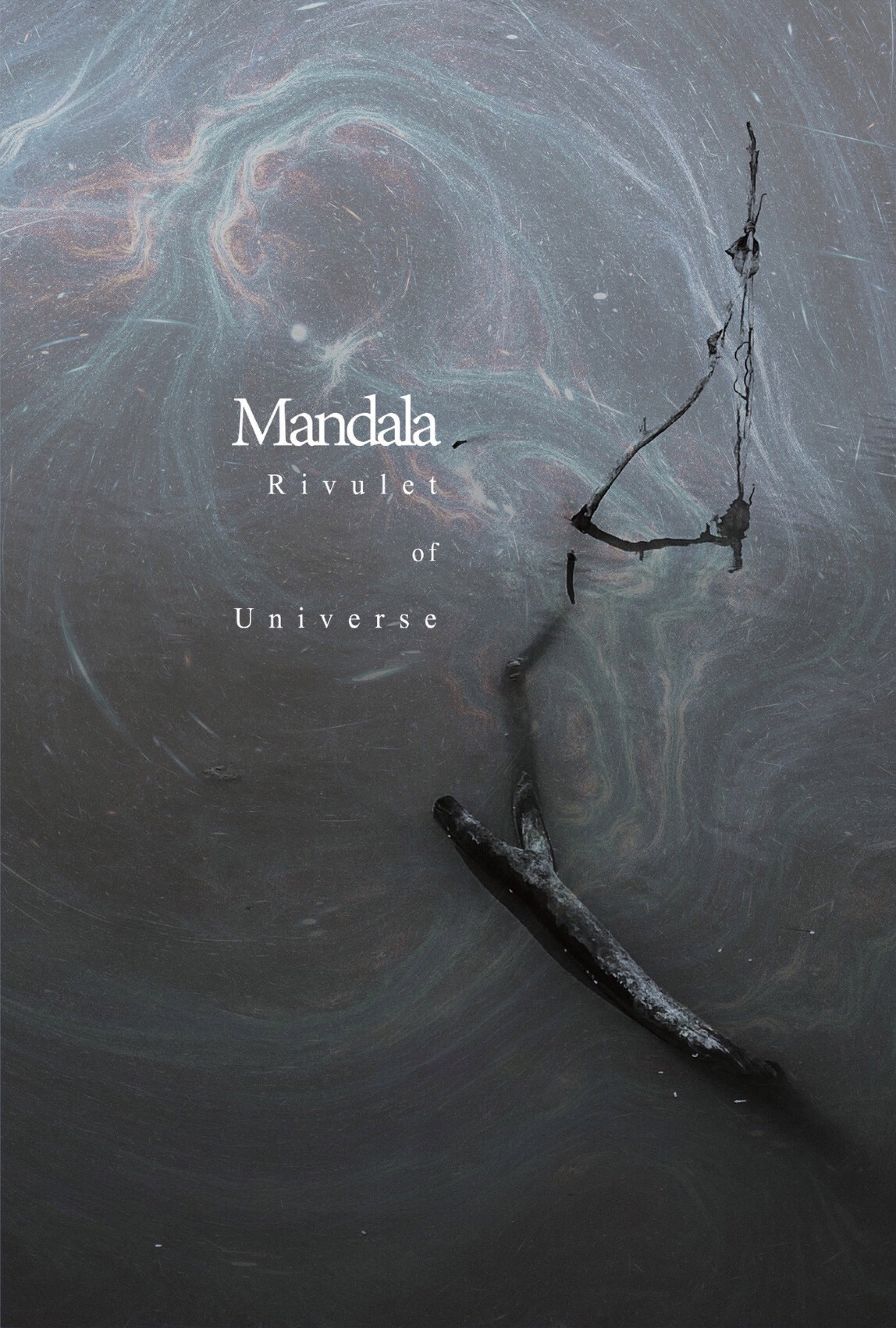 Rivulet of Universe (2024) poster