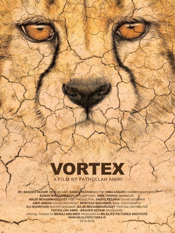 Vortex (2018) poster