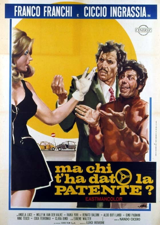Who Gave You the License? (1970) poster