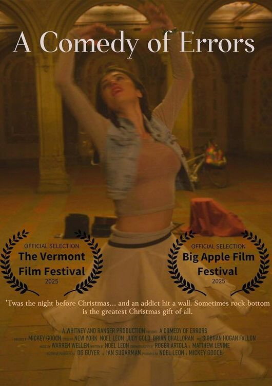 A Comedy of Errors (2026) poster