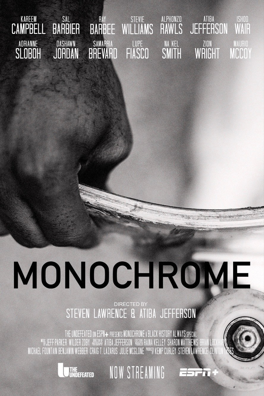 Monochrome (2026) poster